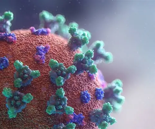 Мои мысли за 33 года работы в туристической индустрии о последствиях коронавируса COVID-19