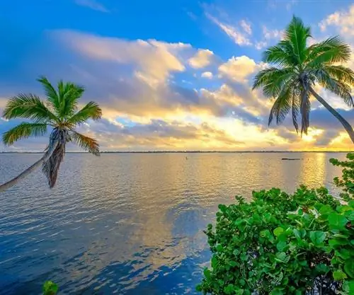 Почувствуйте немного роскоши в округе Мартин, Флорида