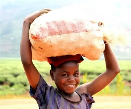 Руанда открыта для посетителей – исследуйте ее в эко-роскоши