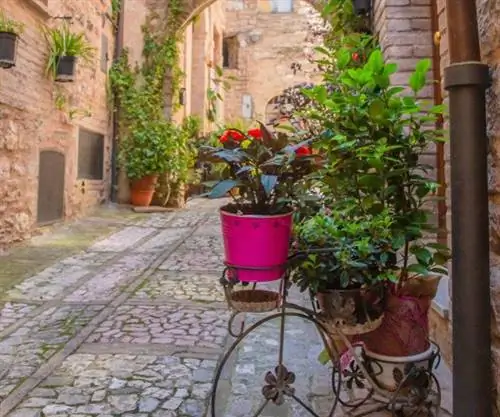 Время мечтать о завтрашнем дне