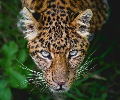 6 удивительных фототуров по Южной Америке