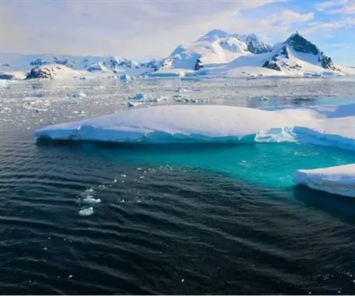 Виды Необузданной Антарктиды