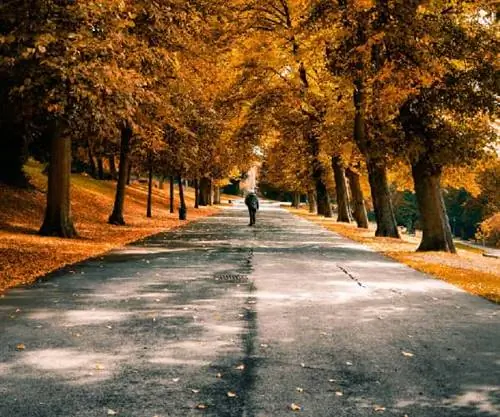 Линкольншир: обнаруженное качество