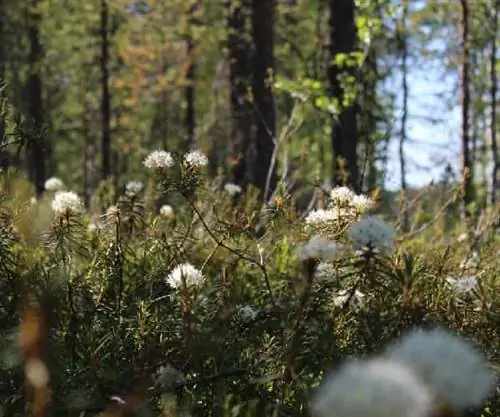 Линкольншир-Уолдс - обнаруженное качество