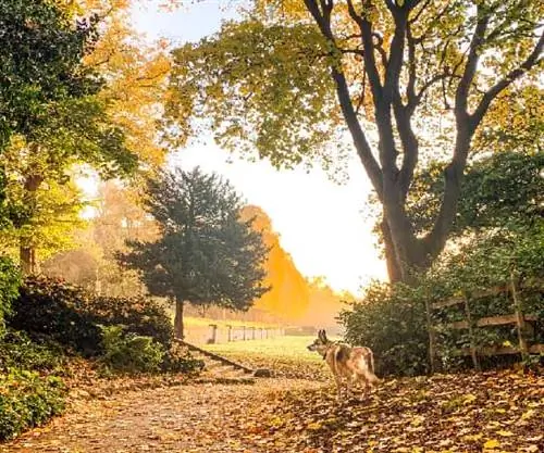 Тропы наследия Линкольншира: обнаруженное качество