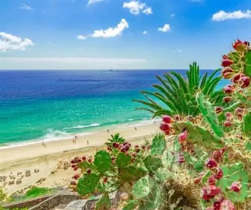 Цвета Фуэртевентуры