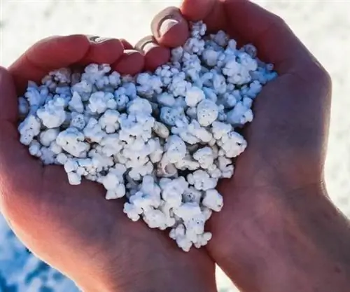 Пляж Попкорн на Фуэртевентуре