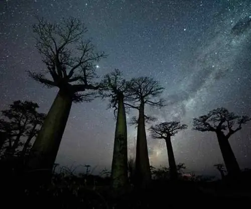 6 лучших лагерей для сна под звездами в Кении