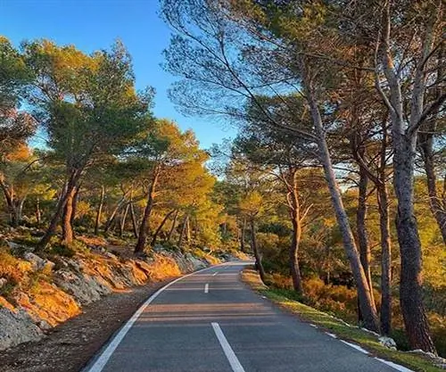 5 интересных занятий на Майорке