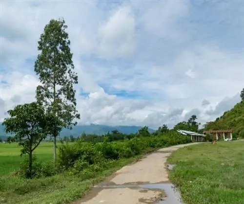 Топ-5 необычных мест на северо-востоке Индии, которые стоит посетить