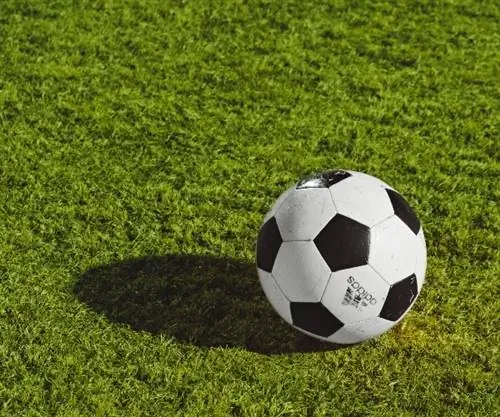 Растущая тенденция футбольного туризма в Великобритании