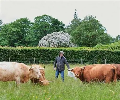 Топ-5 устойчивых предприятий гостиничного бизнеса в Шотландии