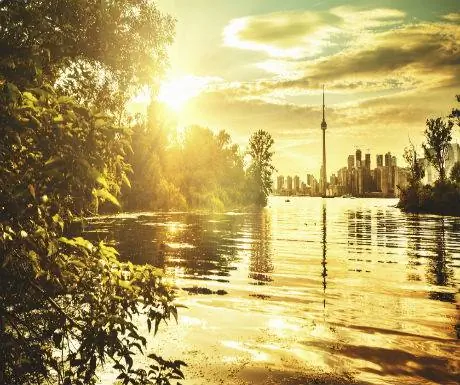 вид на реку