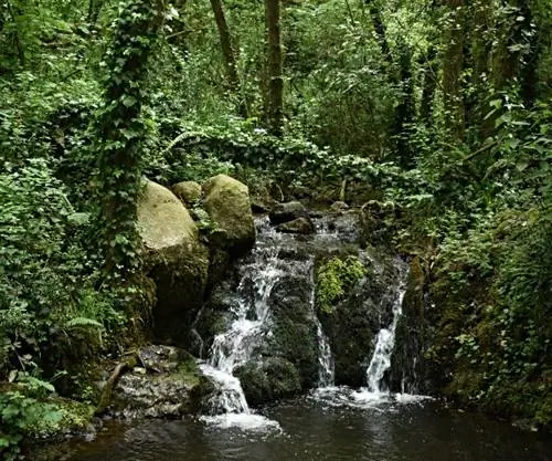 Я добавил еще несколько прогулок.