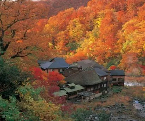 Нюто Онсэнкё_ALTB - изображение предоставлено Организацией содействия туризму Тохоку.