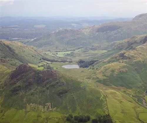 Упаковка Уэйнрайта