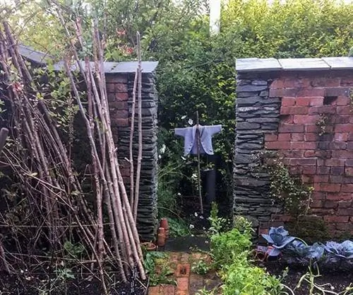 Сказки о кролике Питере