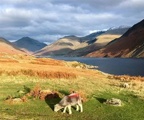 Сточные воды