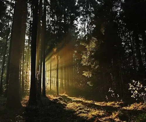 10 главных советов по созданию отмеченных наградами фильмов на смартфоне