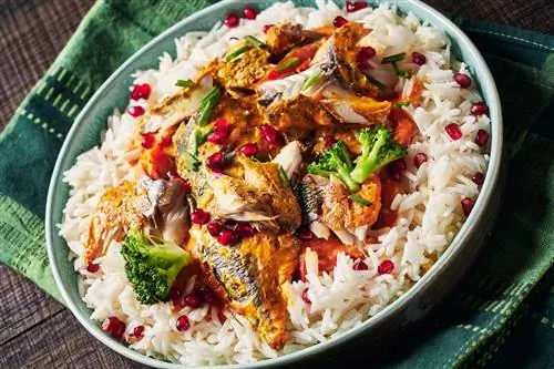 Скумбрия