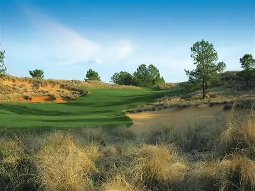 Tobacco Road 4 Пайнхерст гольф