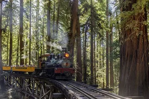 Путешествие на роскошном поезде в США: паровой поезд Redwood Forest от Roaring Camp Railroad
