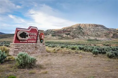 Ископаемые национальные парки Бьютта, Вайоминг