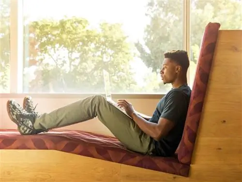 9 лайфхаков Genius для цифровых кочевников