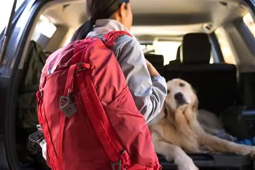 Тайловый трекер багажа