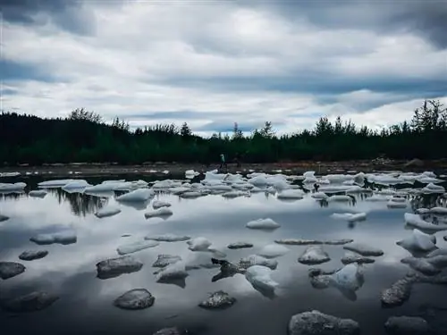 Ищете камеру для путешествий? Sony a7 IV стоит 2500 долларов