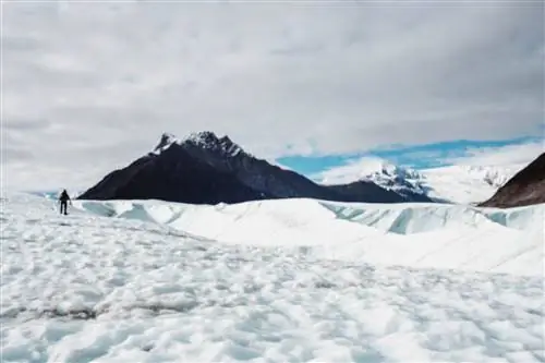 ошибка автофокуса сони а7 iv