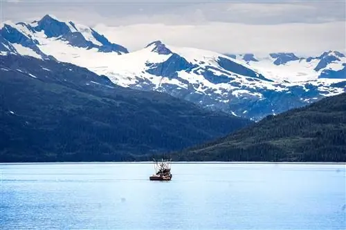 пример sony a7 iv фото