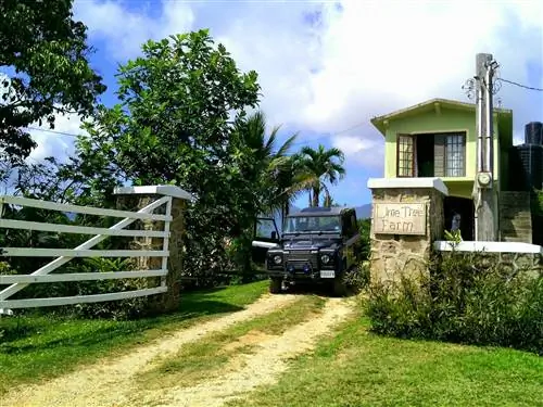 Лаймовая ферма в Голубых горах Ямайки.