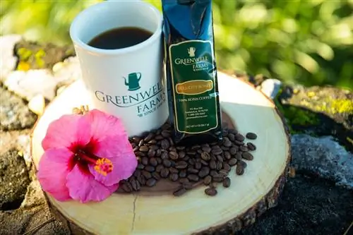 Кофейная ферма Greenwell на Гавайях