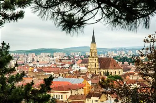 Клуж в Румынии, рядом с одним из самых жутких лесов в Европе