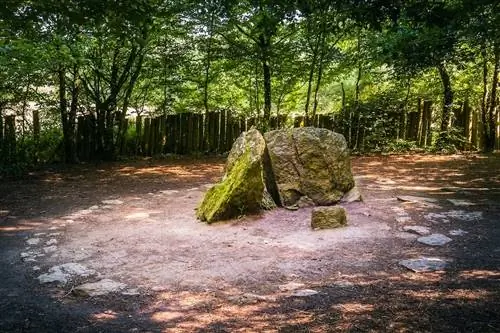 Лес Броселианд во Франции - один из самых жутких лесов в мире