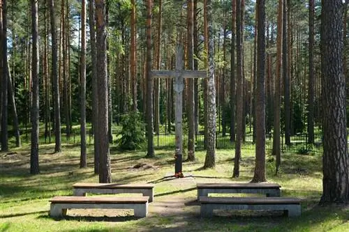 Смоленский лес в Польше - жуткие леса мира