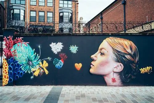 Прогулки по улице Seedhead Arts Street Белфаст, Ирландия