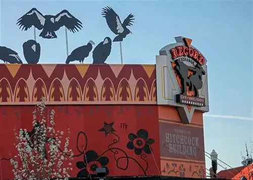 Обмен звукозаписями в Бойсе, штат Айдахо
