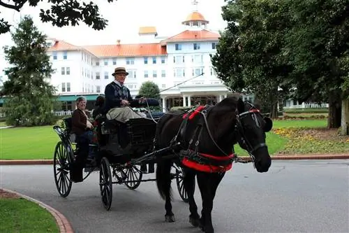 Экскурсия на карете Pinehurst Resort