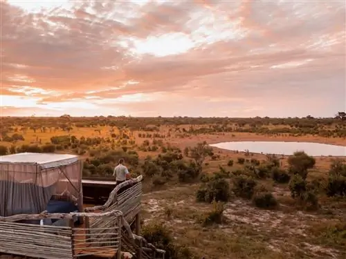 В этом сафари-лагере в Ботсване можно спать над львами на роскошной кровати-платформе