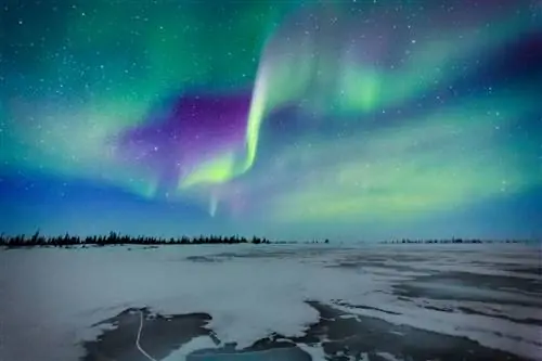 Северное сияние над городом Черчилль, Манитоба, Канада. Черчилль - одно из лучших направлений для весенних каникул 2022 года.