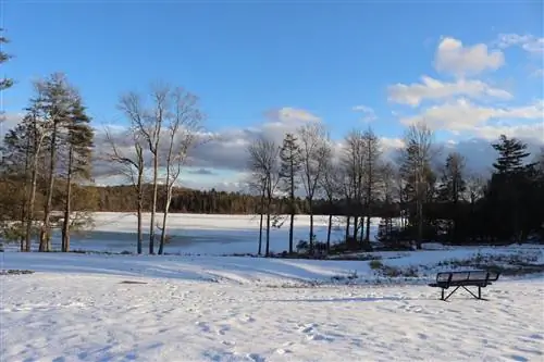 Вид на зимний пейзаж в оздоровительном курорте YO1 в Монтиселло, штат Нью-Йорк.