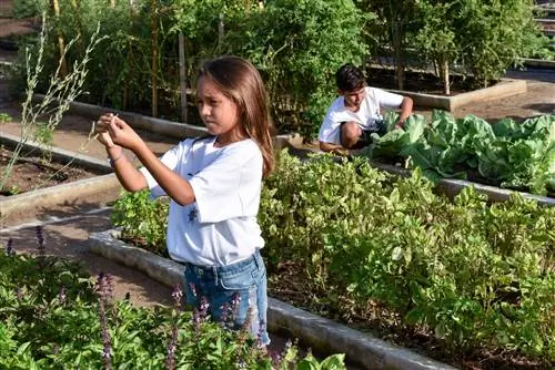 Дети играют в саду Rosewood Little Dix Bay