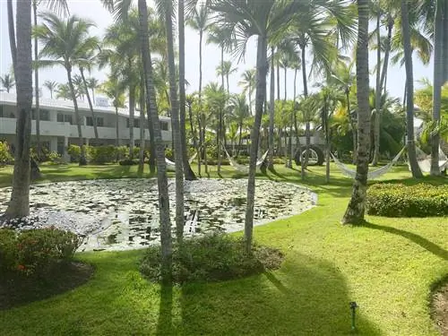 Meliá Punta Cana Beach Resort, тихое место