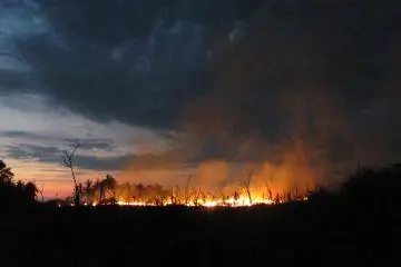 Семилла Нуэва: посадка новых семян в Гватемале