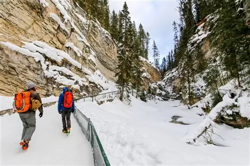 Мужчины идут к стене для ледолазания