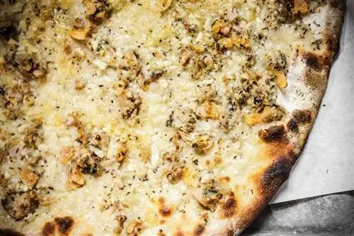 Пицца с моллюсками из оригинальной пиццерии Frank Pepe's Pizza New Haven