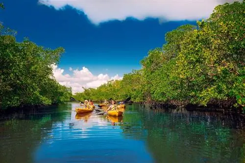 Каякинг Calusa Blueway Форт Майерс Санибел Флорида