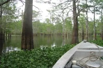 Рыбалка на Атчафалае